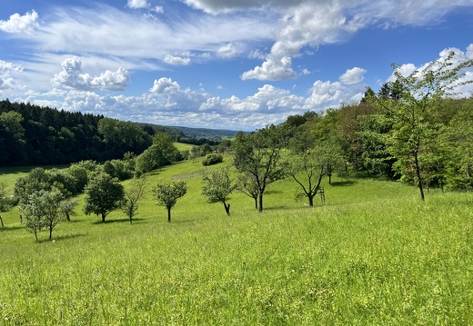 24-05-18 16-11-58 9472